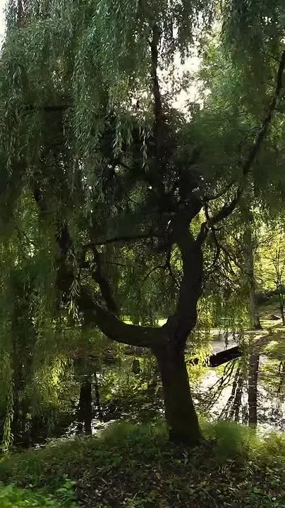 Обложка видео