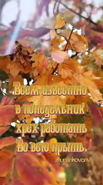 Обложка видео