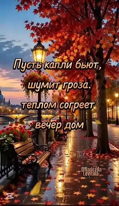 Обложка видео