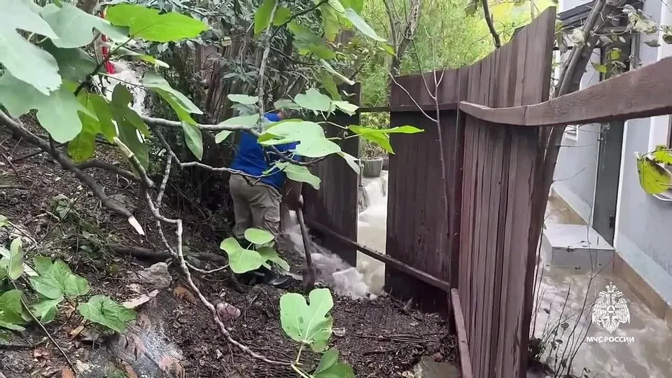 Обложка видео