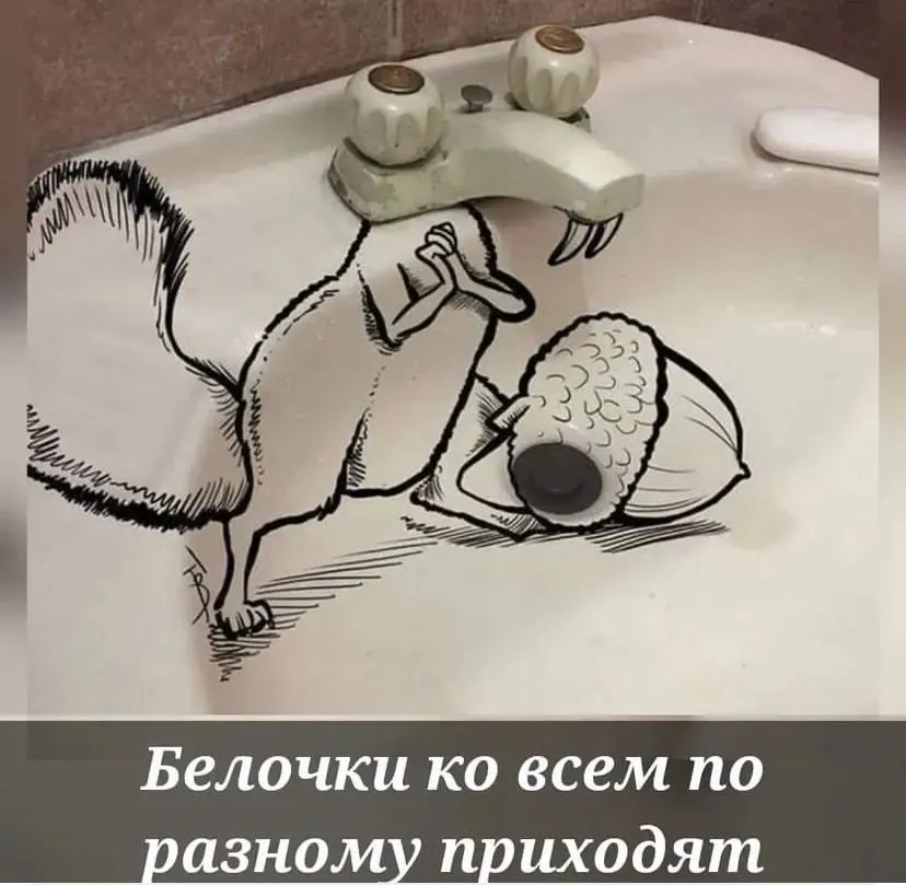 Фото из поста