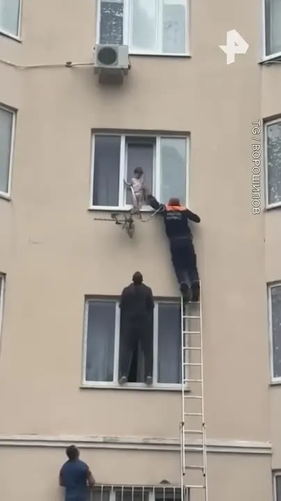 Обложка видео