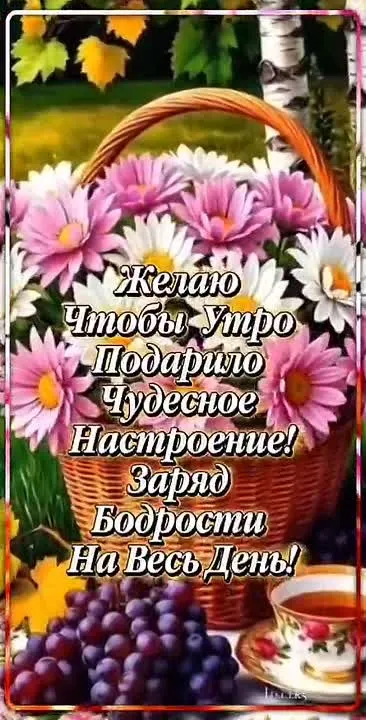 Обложка видео