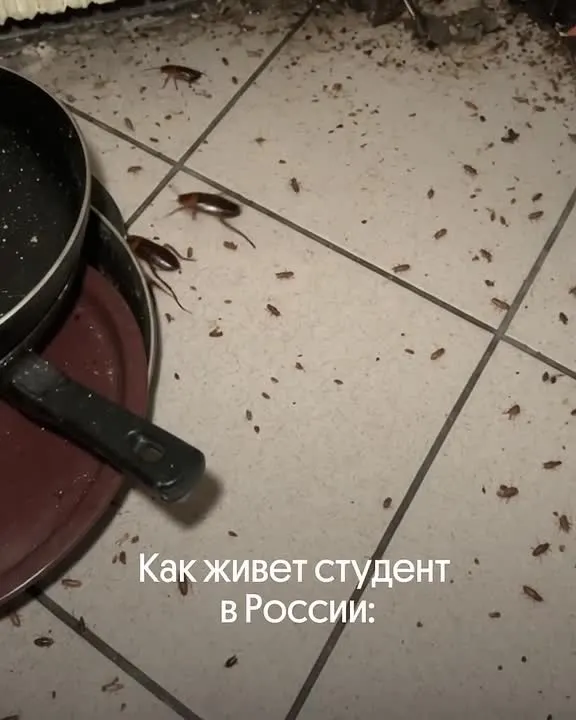 Обложка видео
