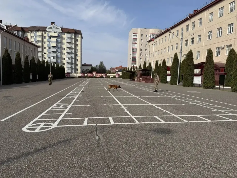Фото из поста