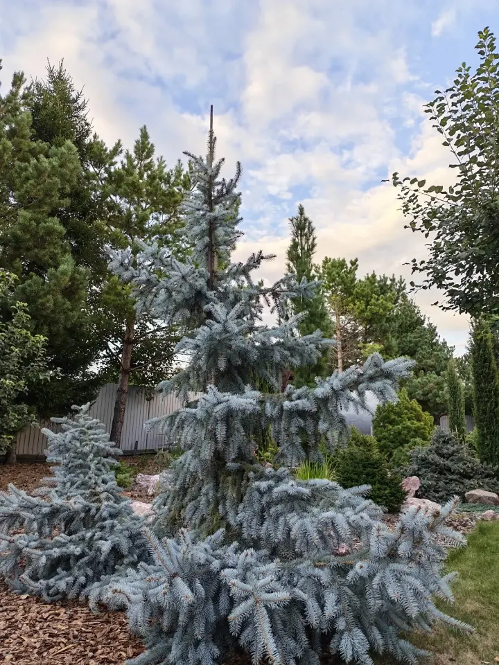 Фото из поста