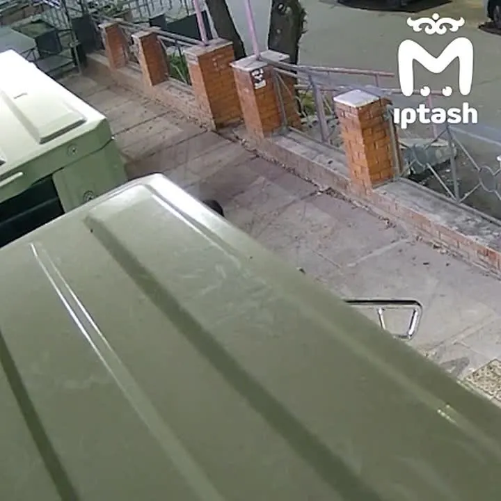 Обложка видео