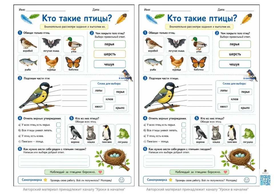 Фото из поста