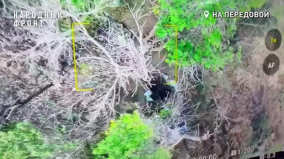 Обложка видео