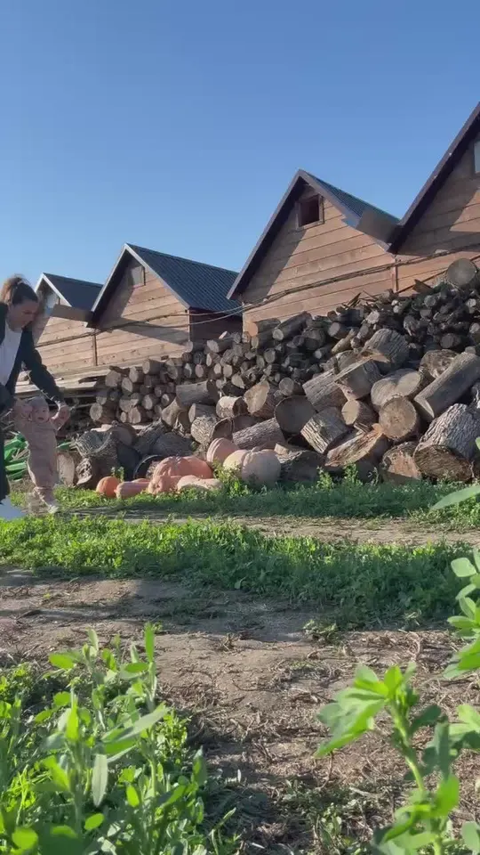 Обложка видео
