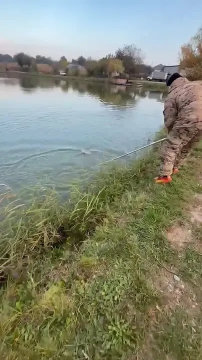 Обложка видео