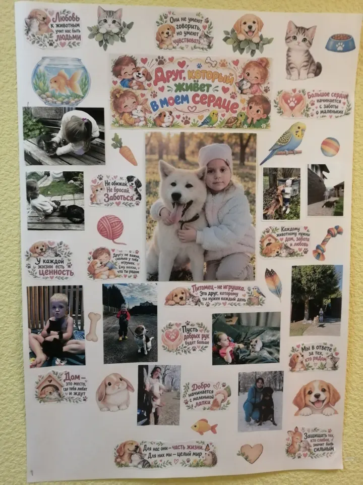 Фото из поста