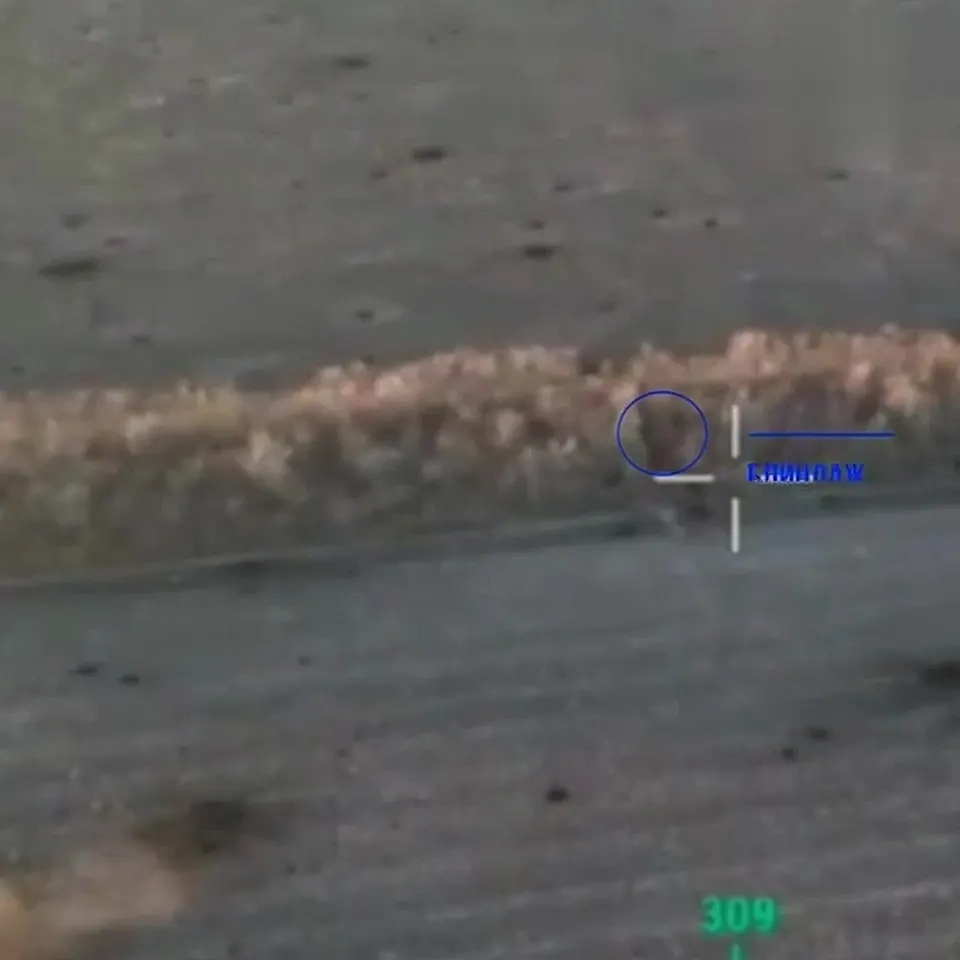 Обложка видео