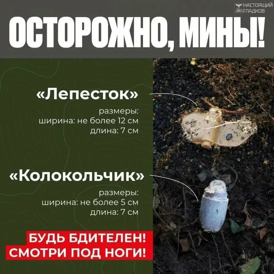 Фото из поста
