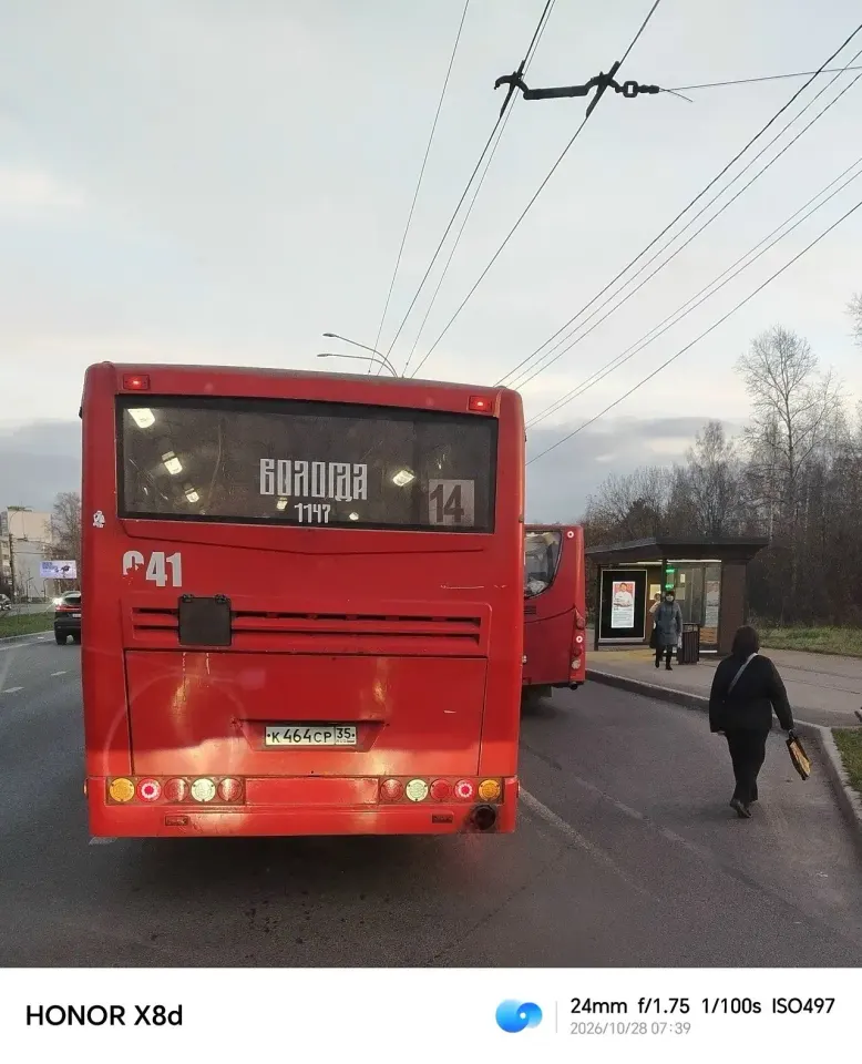 Фото из поста