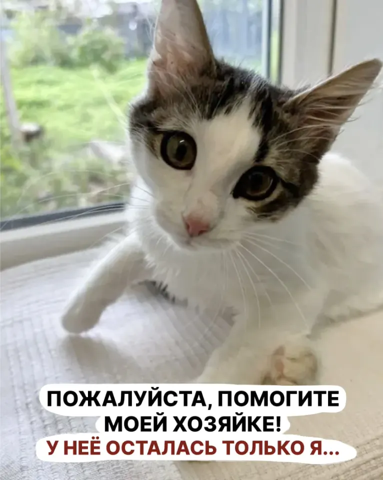 Фото из поста