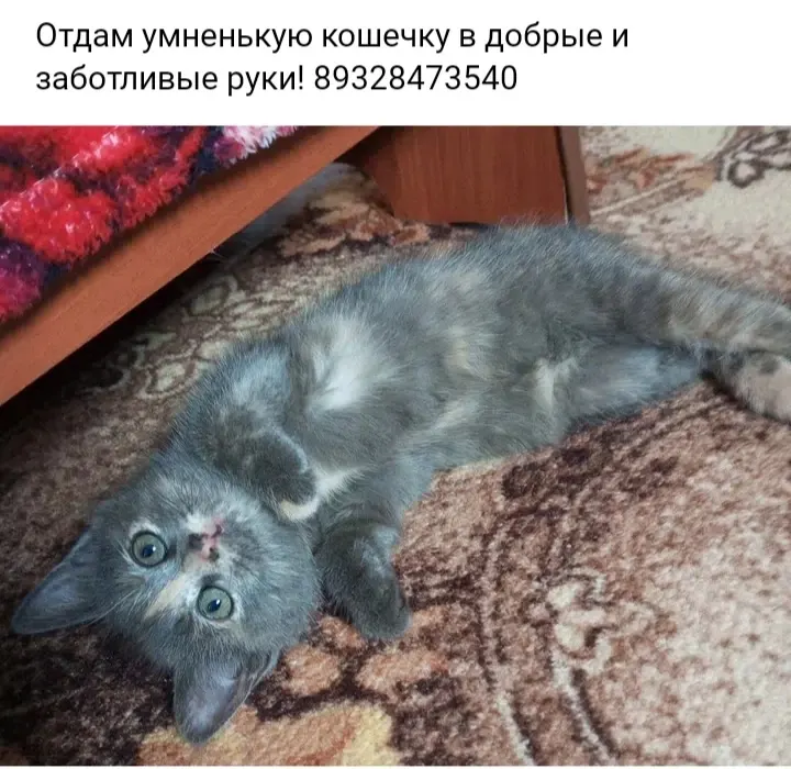 Фото из поста