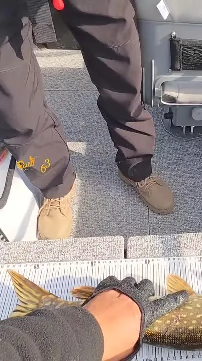 Обложка видео