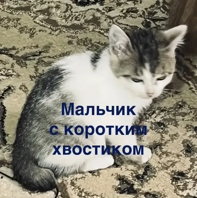 Фото из поста