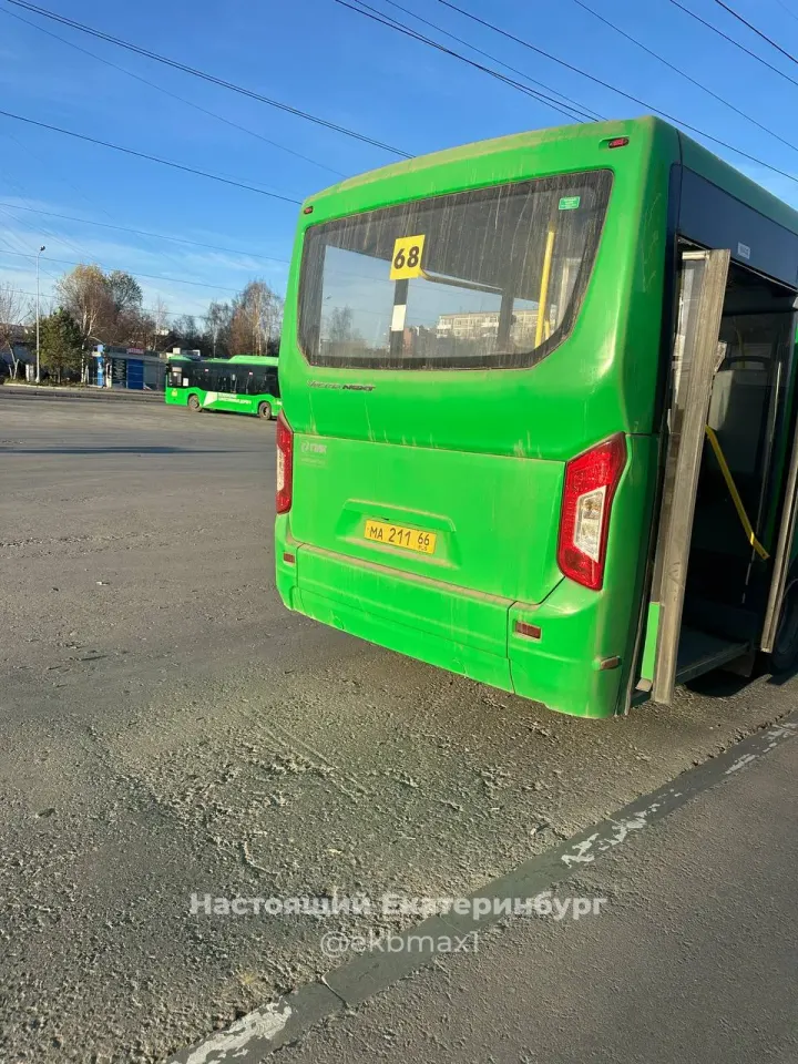 Фото из поста
