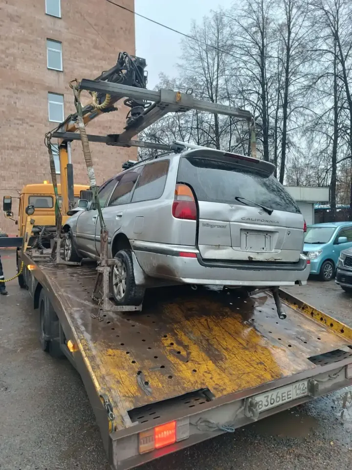 Фото из поста