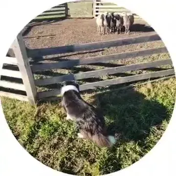 Обложка видео