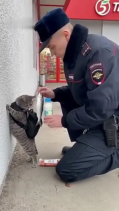 Обложка видео
