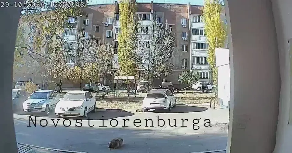Обложка видео