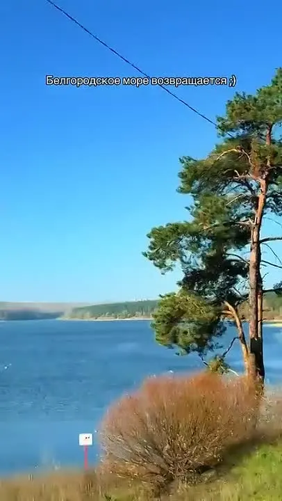 Обложка видео