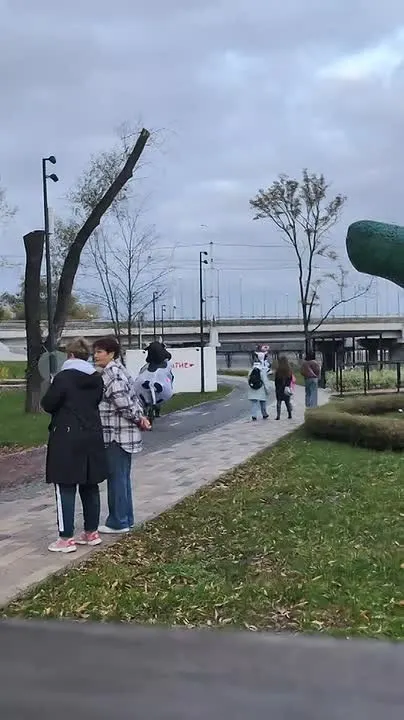 Обложка видео