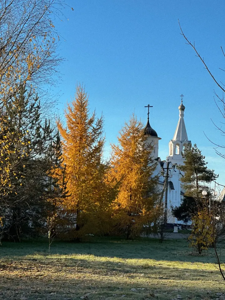 Фото из поста
