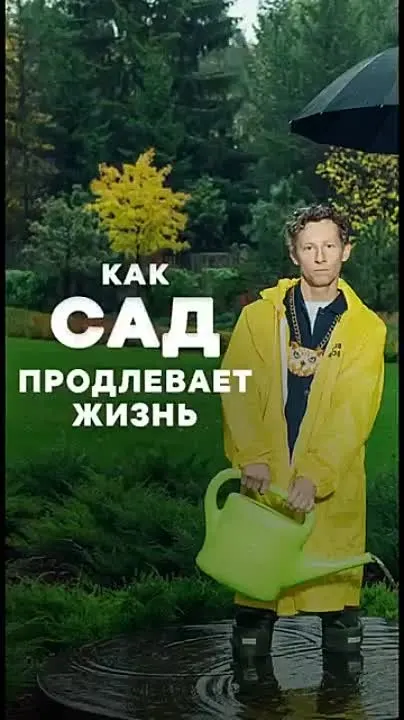 Обложка видео