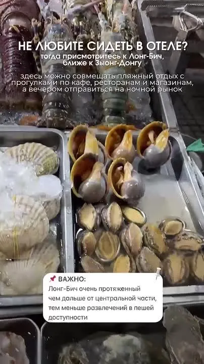 Обложка видео