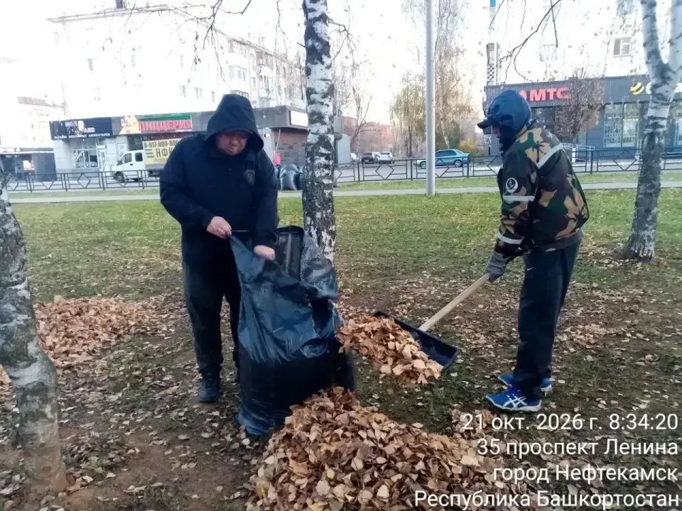 Фото из поста