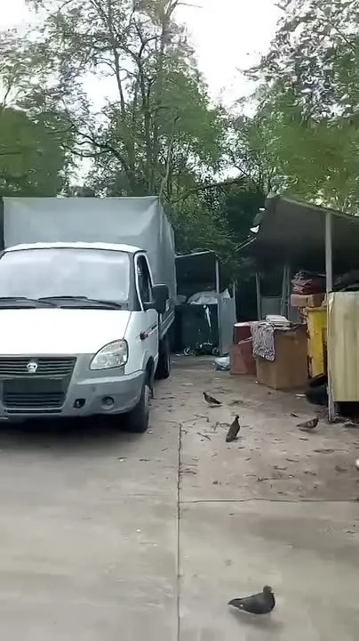 Обложка видео