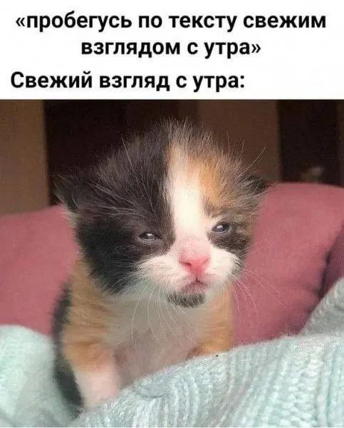 Фото из поста
