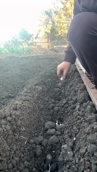 Обложка видео