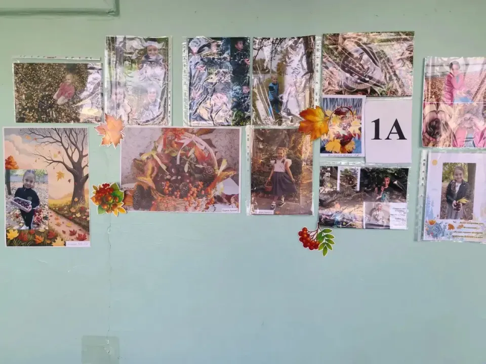 Фото из поста