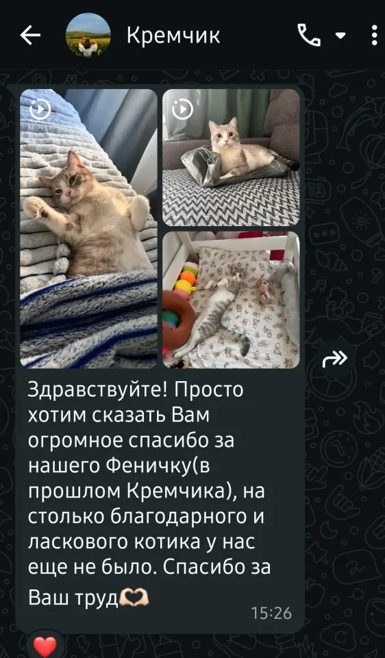 Фото из поста