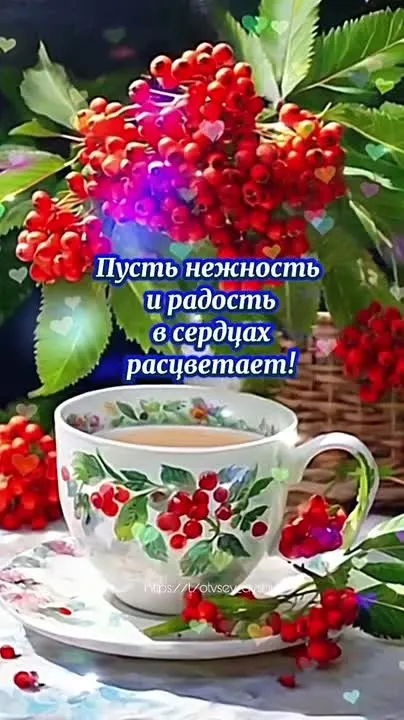 Обложка видео