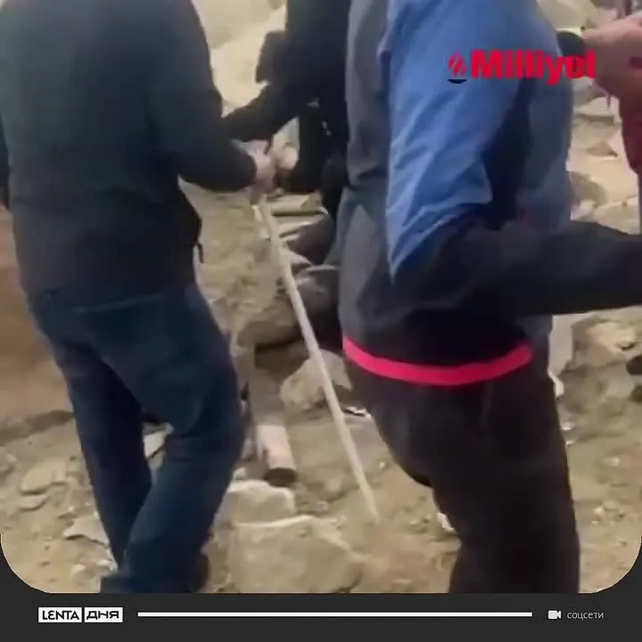 Обложка видео