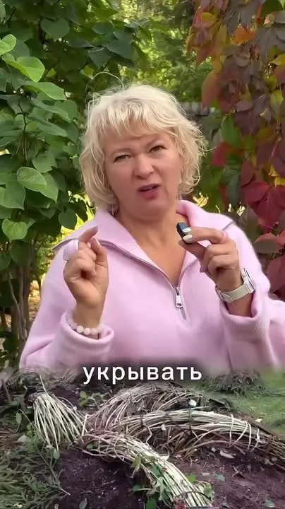Обложка видео