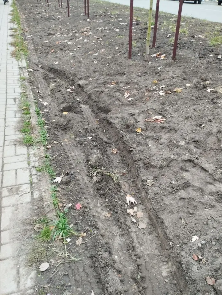 Фото из поста