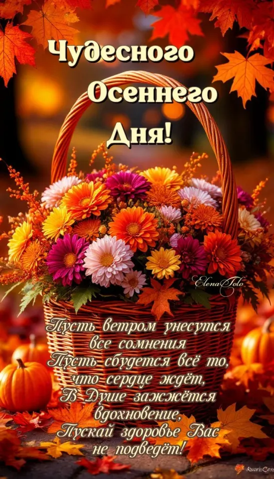 Фото из поста