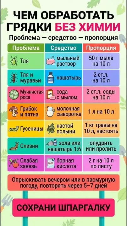 Обложка видео