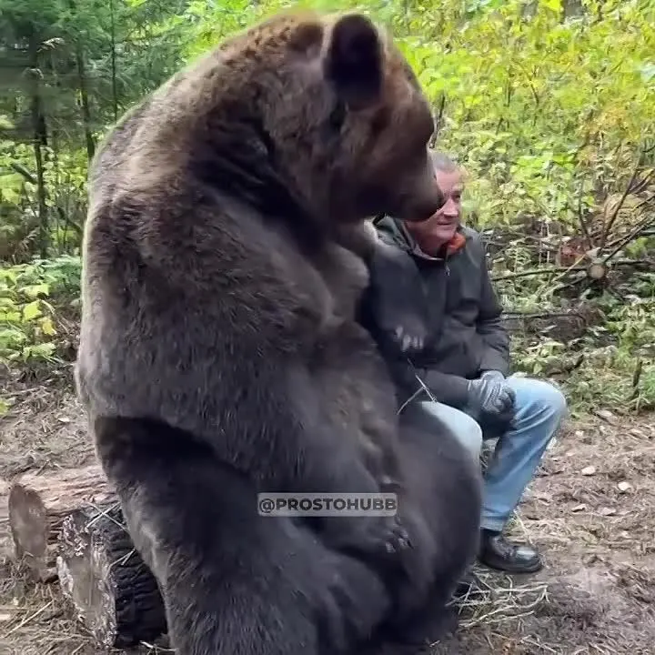 Обложка видео