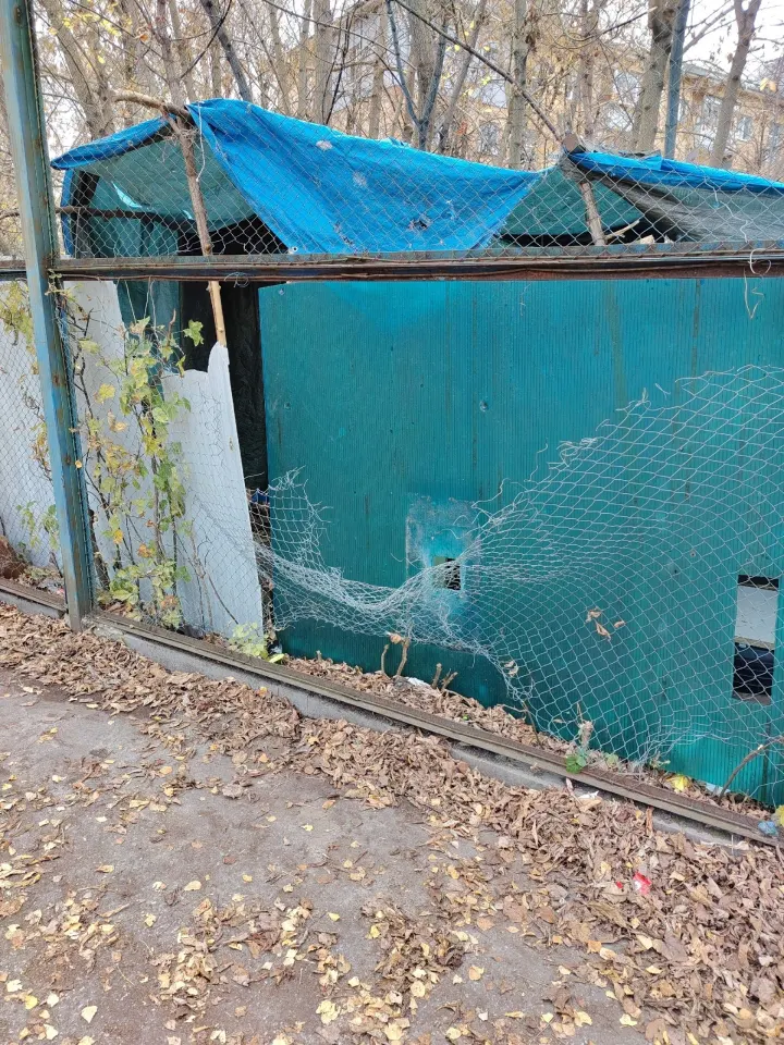 Фото из поста