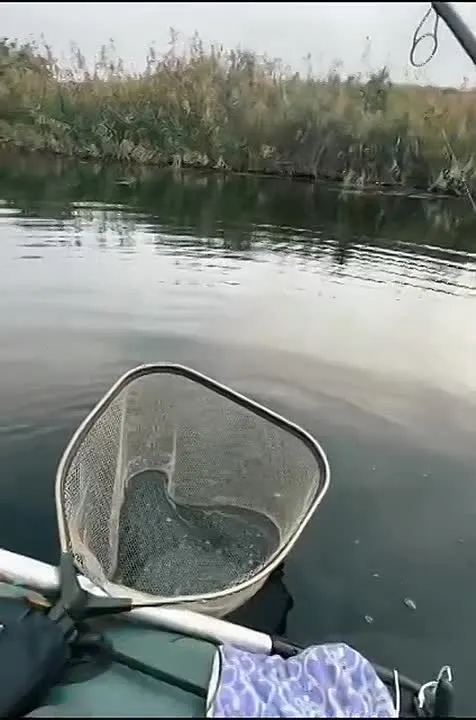 Обложка видео