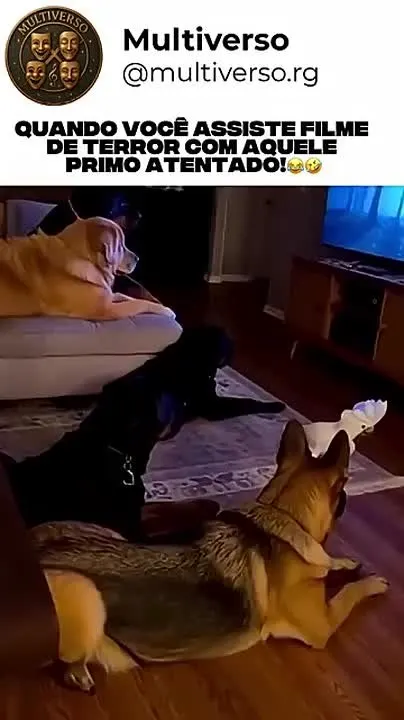 Обложка видео