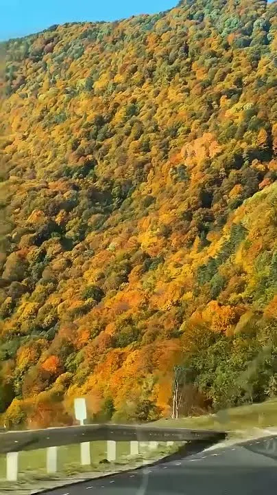 Обложка видео